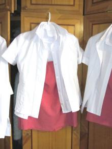 Корпоративная форма