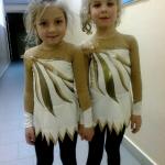 Купальники для художественной гимнастики